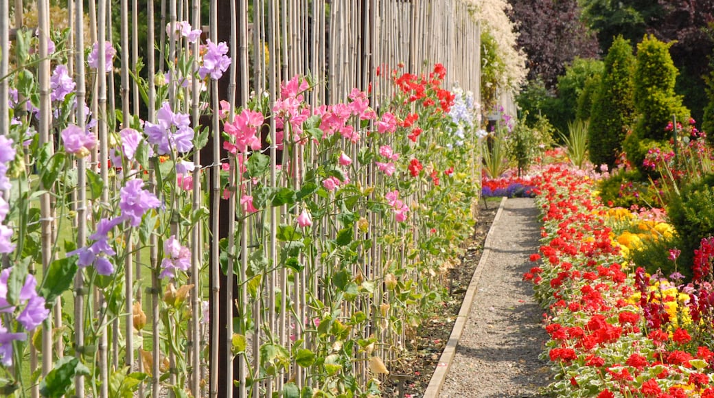 Le "Victorian Walled Garden" du parc Bellahouston à Glasgow. www.winsfordwalledgarden.com/v_gardens.aspx?Group=gardens...