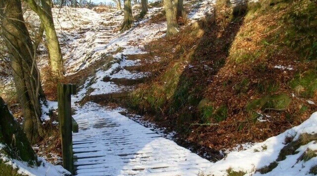Killoch Glen footpath A fine walk, but quite dangerous in these conditions.