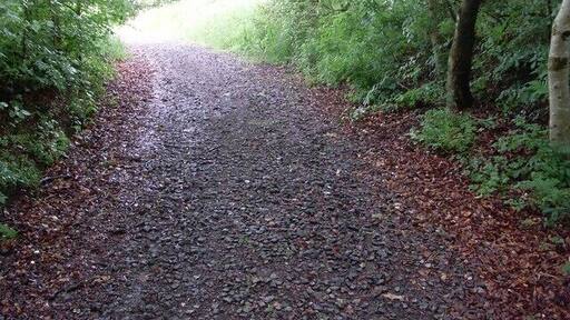 Well-shaded path Behind Westburn Village, near Glasgow.