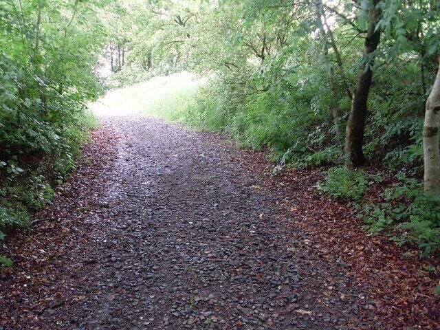 A gravel path surrounded by dense green foliage.