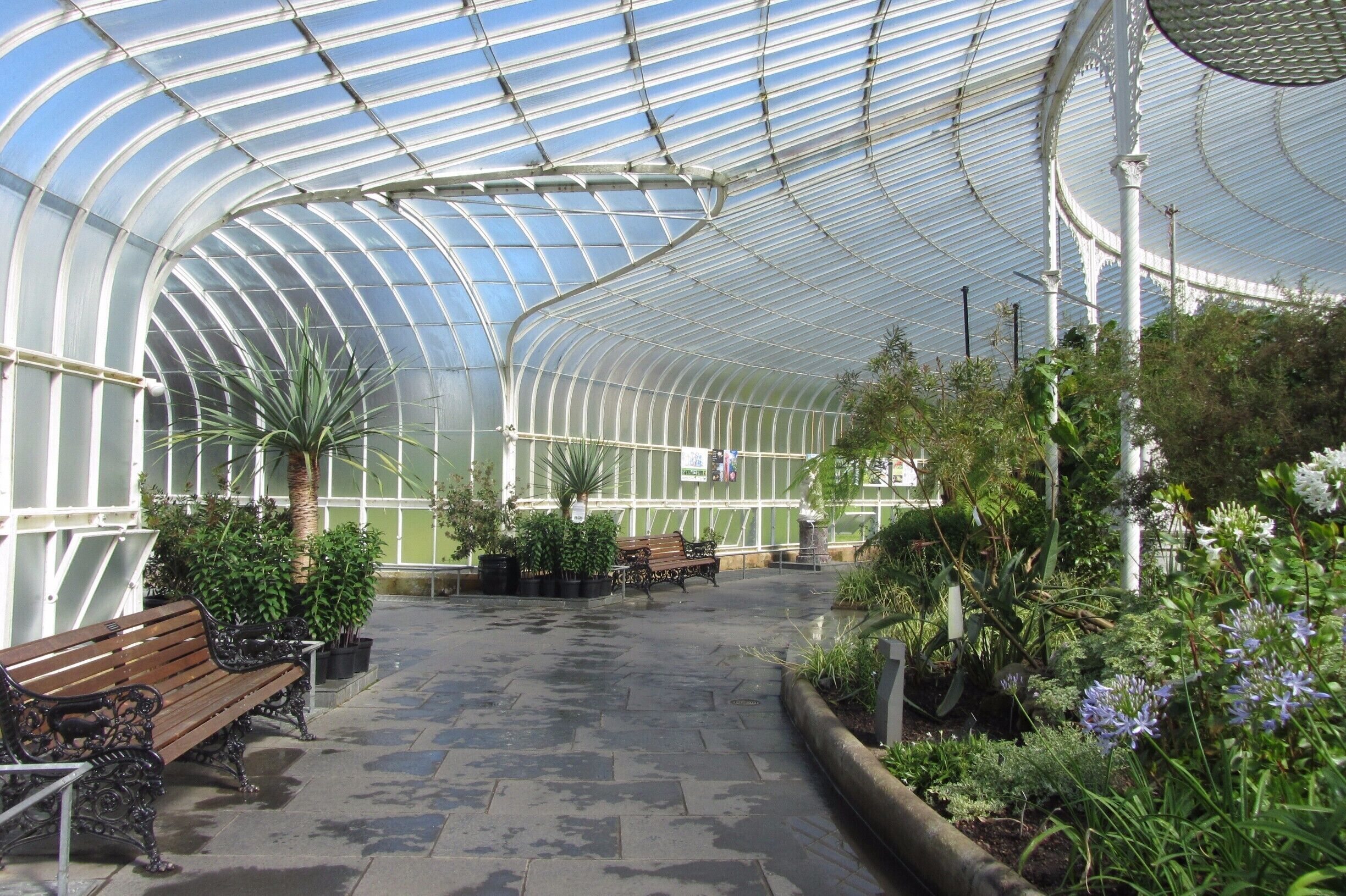 Kibble Palace, Botanic Gardens in the West End of Glasgow. A tranquil area to walk around and enjoy.