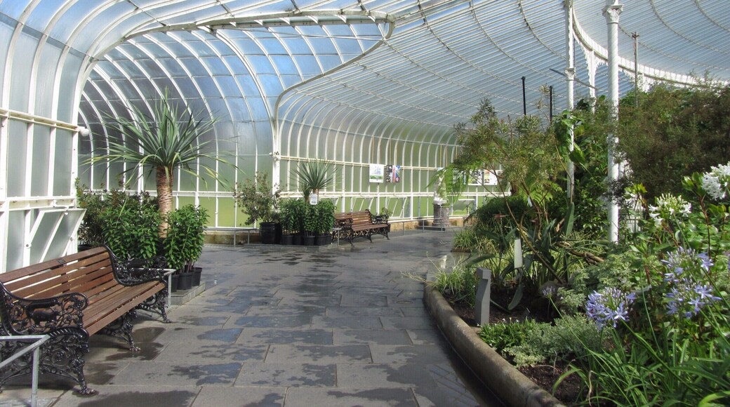 Kibble Palace, Botanic Gardens in the West End of Glasgow. A tranquil area to walk around and enjoy.