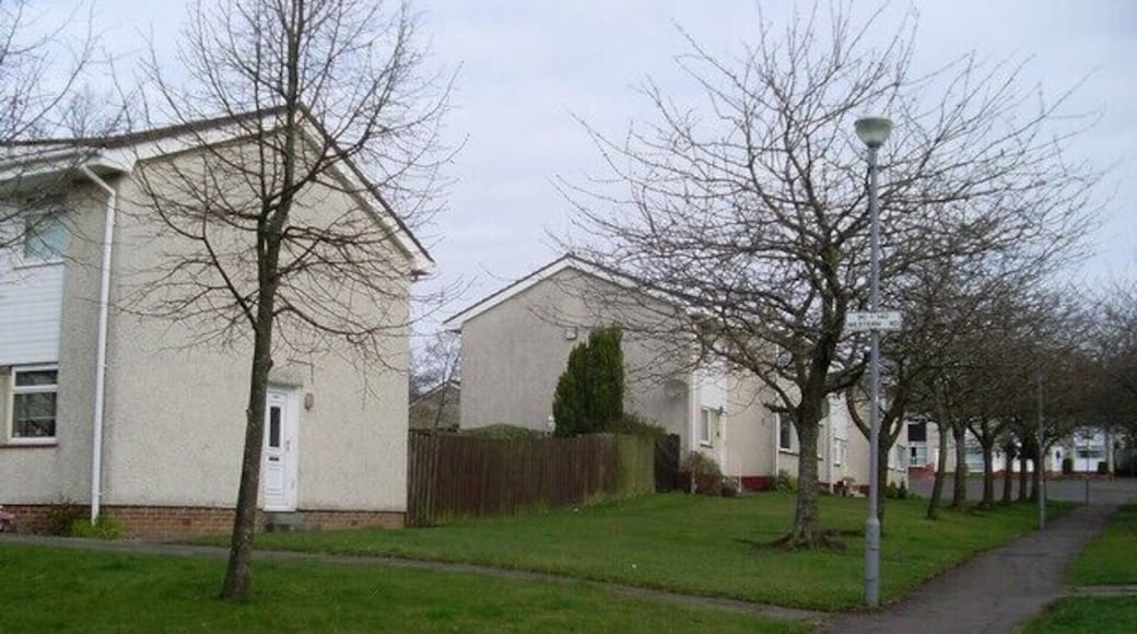 Houses off Western Road Still addressed as Western Road, as the street sign shows.