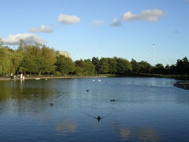 Victoria Park. The pond.