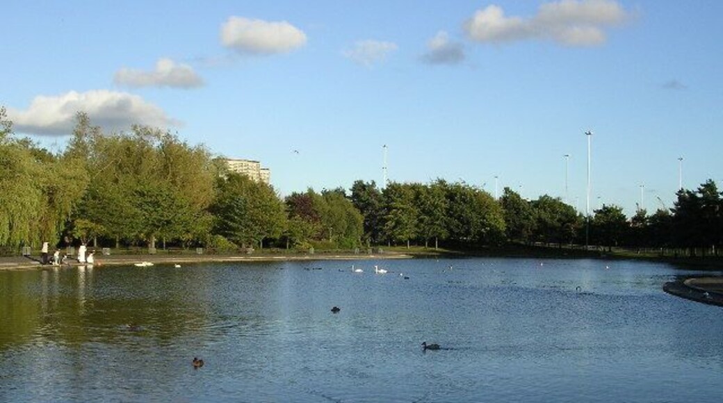 Victoria Park. The pond.