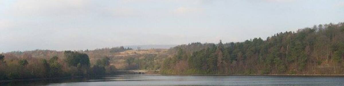 View across Mugdock Reservoir Looking to the Northwest corner.