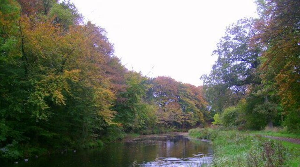 Autumnal Forth and Clyde canal An autumnal scene north east of Cadder on the Forth and Clyde Canal.