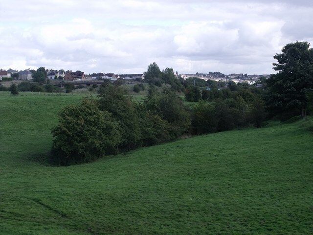 Old Line of Burn The trees delineate the old course of an un-named burn.