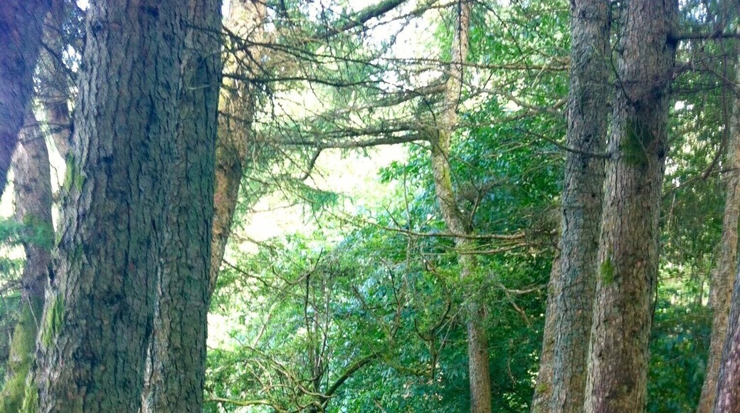 Beautiful park on my doorstep