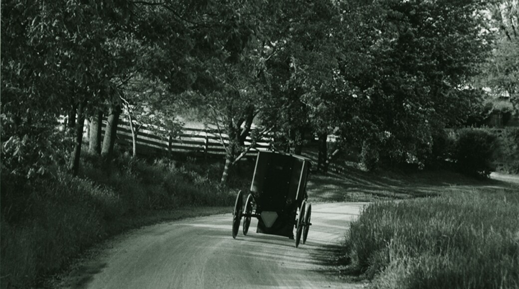 On the way home from market.