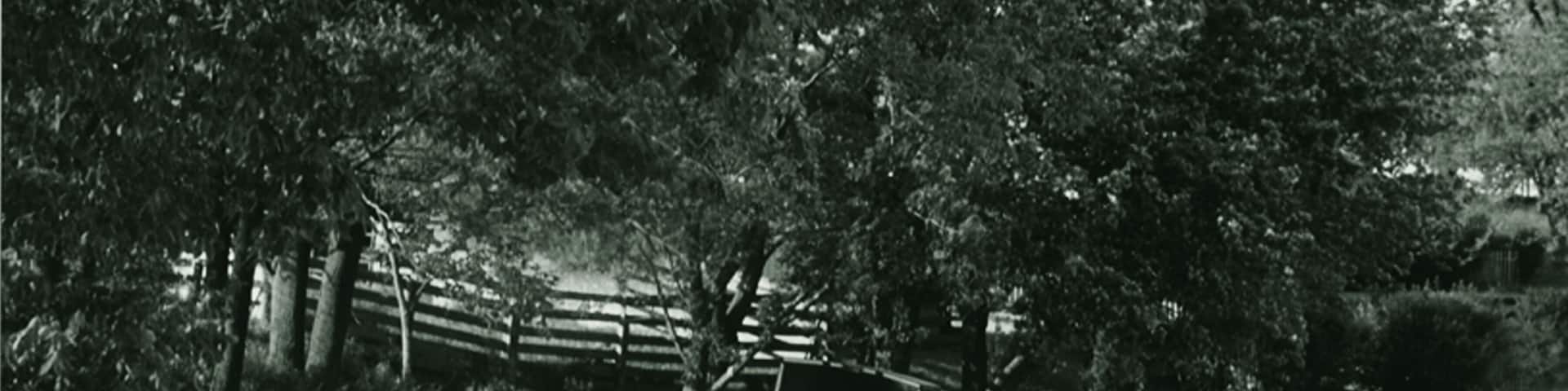 A rural road flanked by trees and a wooden fence.