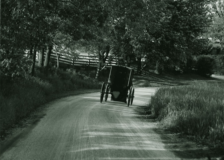A rural road flanked by trees and a wooden fence.
