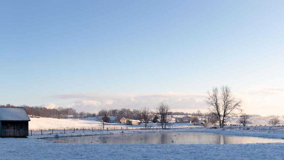 A snow-covered landscape with a small wooden structure, a pond, and bare trees.