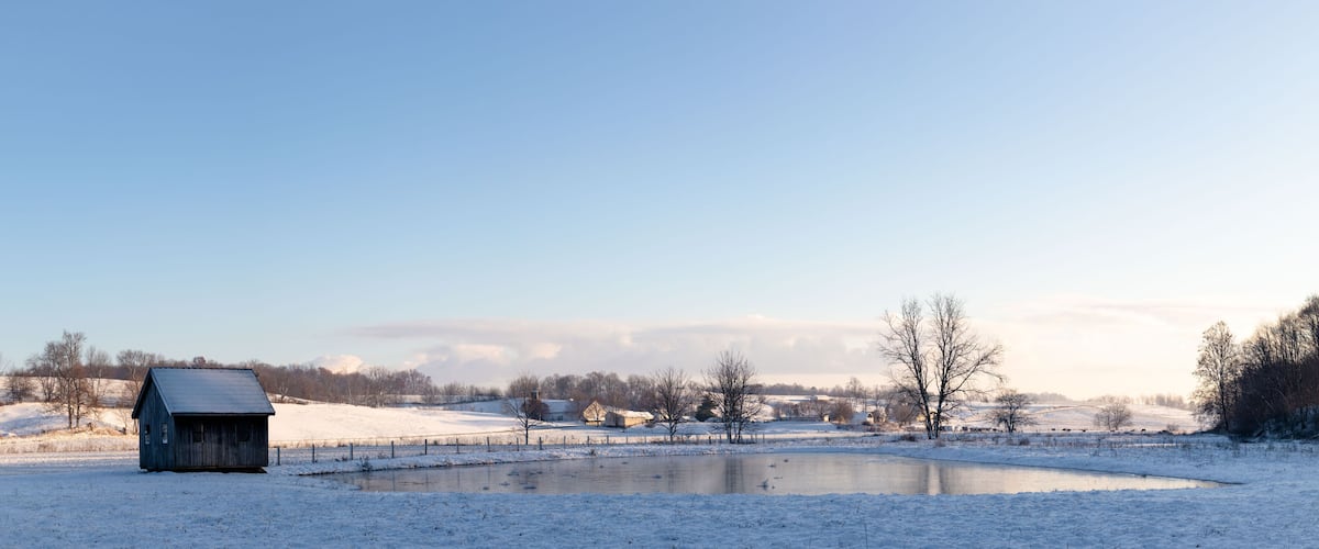 A snow-covered landscape with a small wooden structure, a pond, and bare trees.