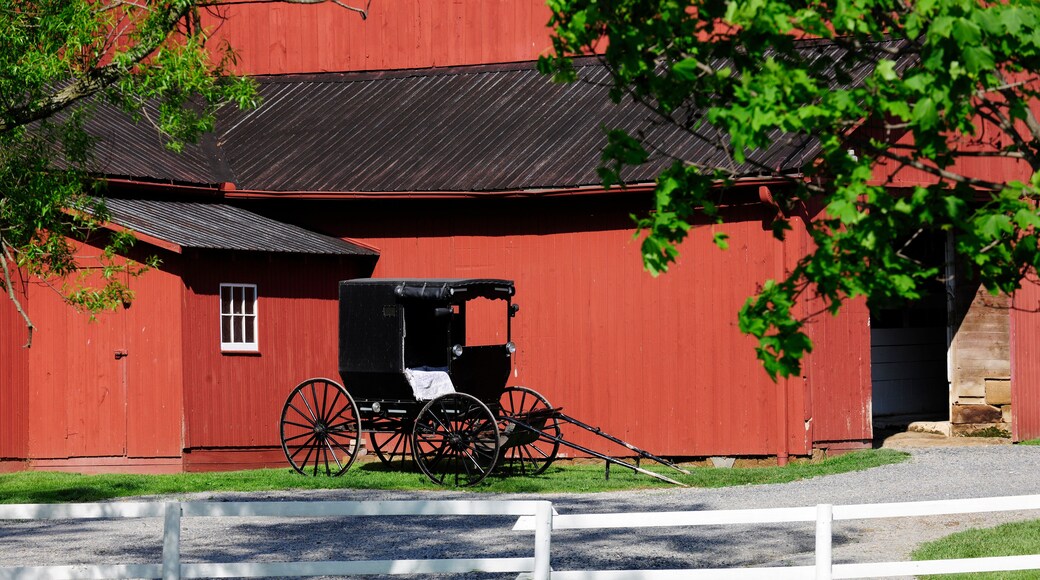 Amish Barn and Buggy