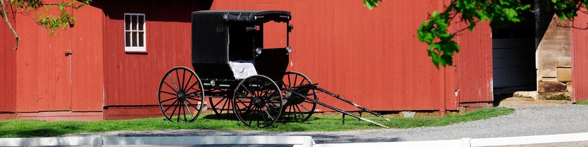 Amish Barn and Buggy
