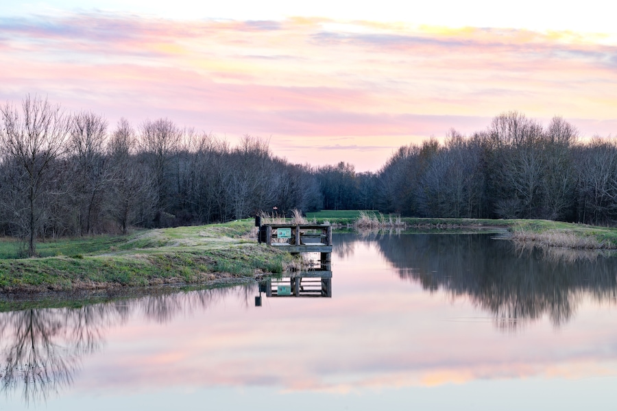 Lake Pier