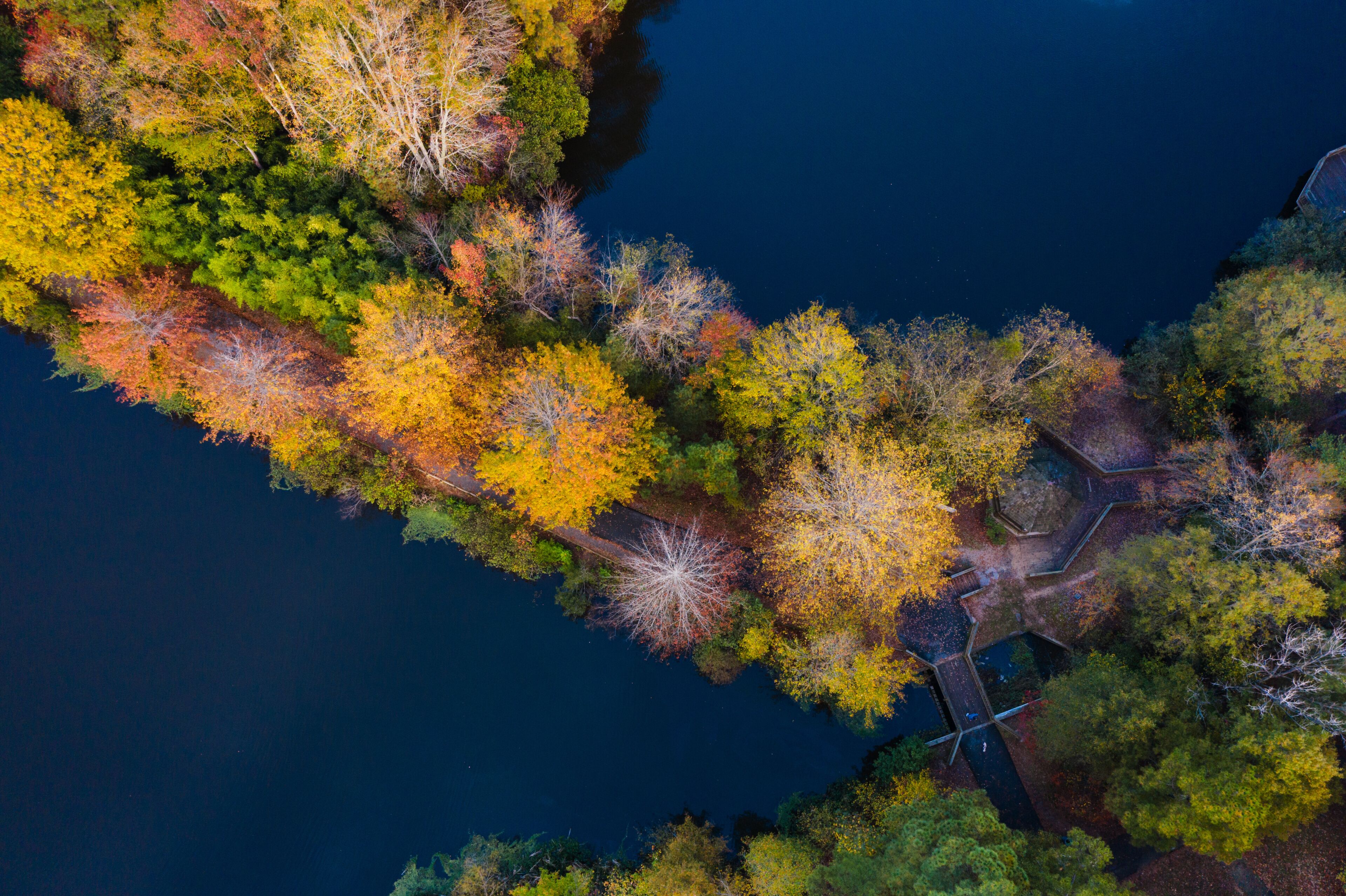 Fall pond I