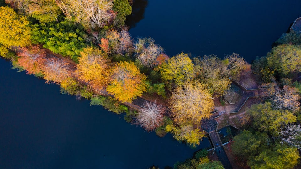 Fall pond I