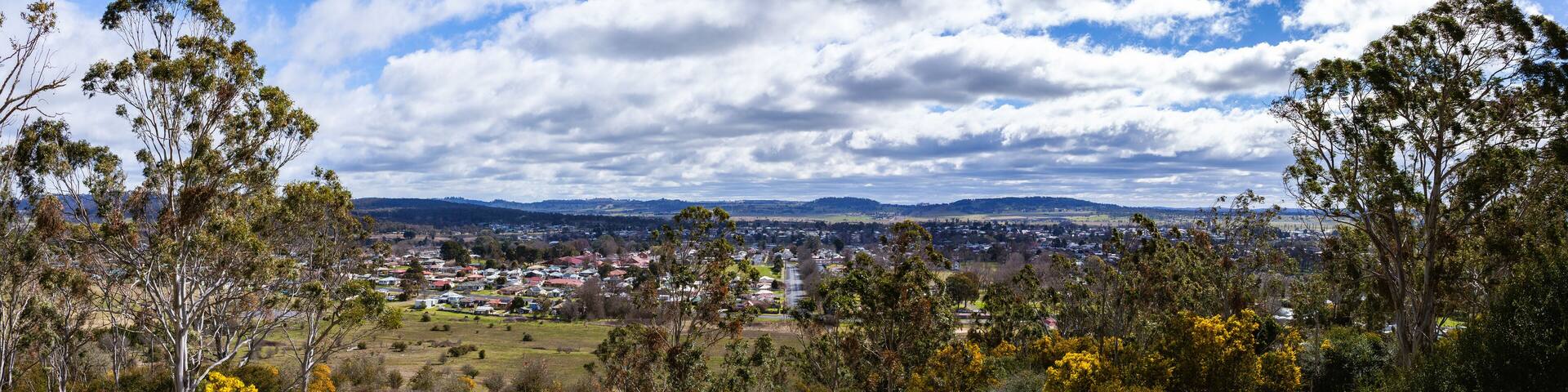 View from Glen Innes Highlands Skywalk of bushland with golden wattles on windy winter day