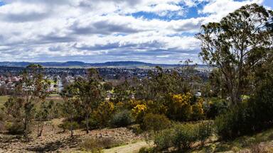 View from Glen Innes Highlands Skywalk of bushland with golden wattles on windy winter day