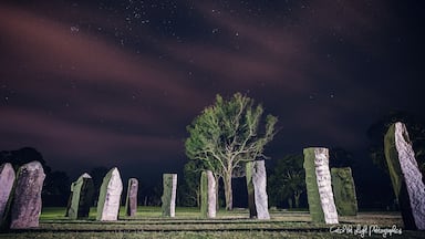 Steinkreis Stonehenge bei Nacht mit einem Baum in der Mitte und Sternen am Himmel.