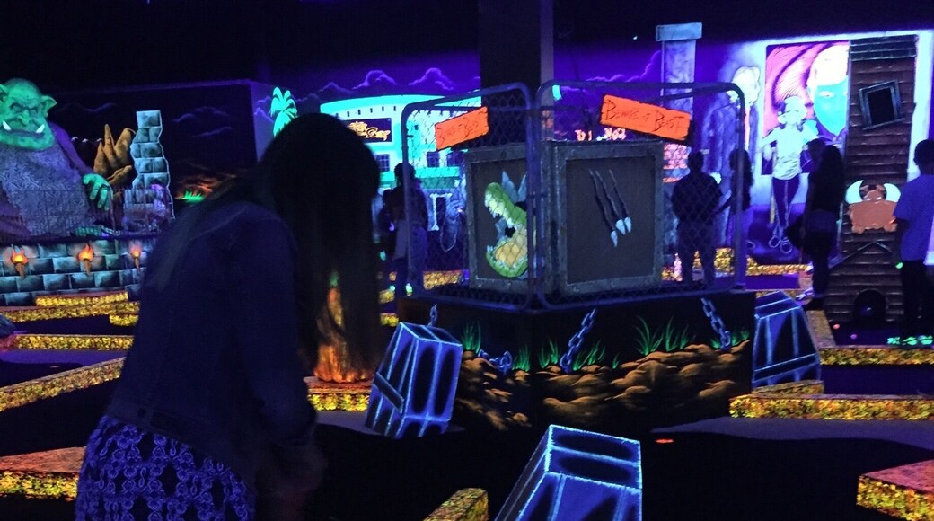 Monster mini golf is an indoor glow-in-the-dark miniature golf place and it's appropriate for everyone of all ages! This place was super fun, and very inexpensive.