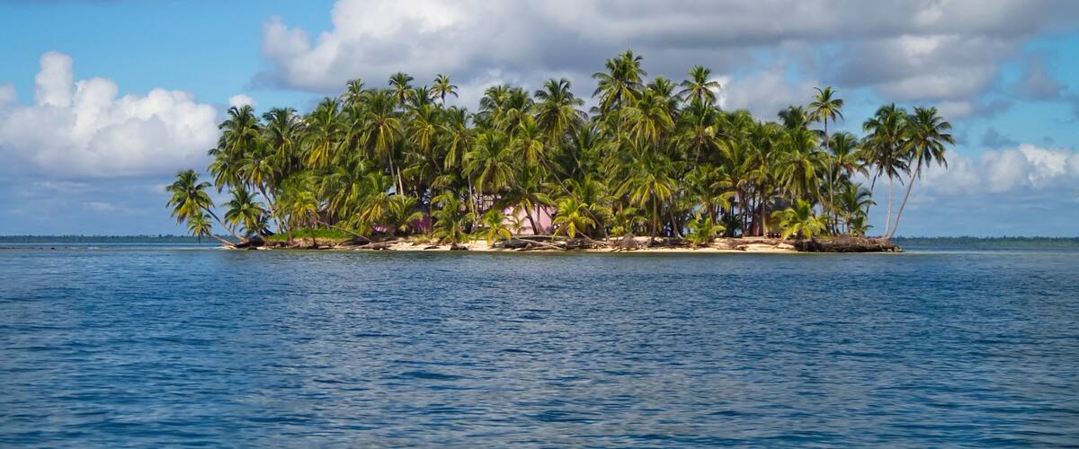 A tropical island with palm trees and a clear sky.