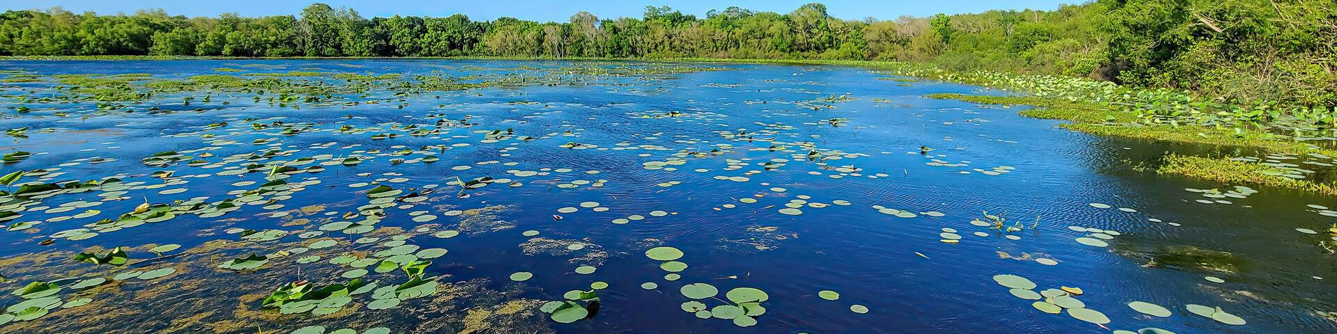Cullinan Park in Houston Texas