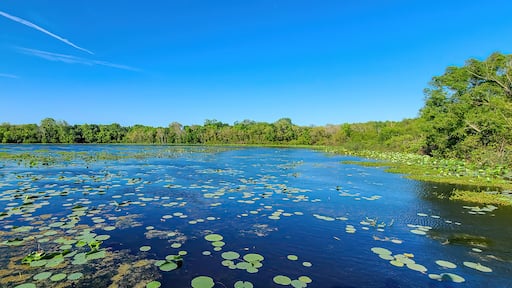 Cullinan Park in Houston Texas