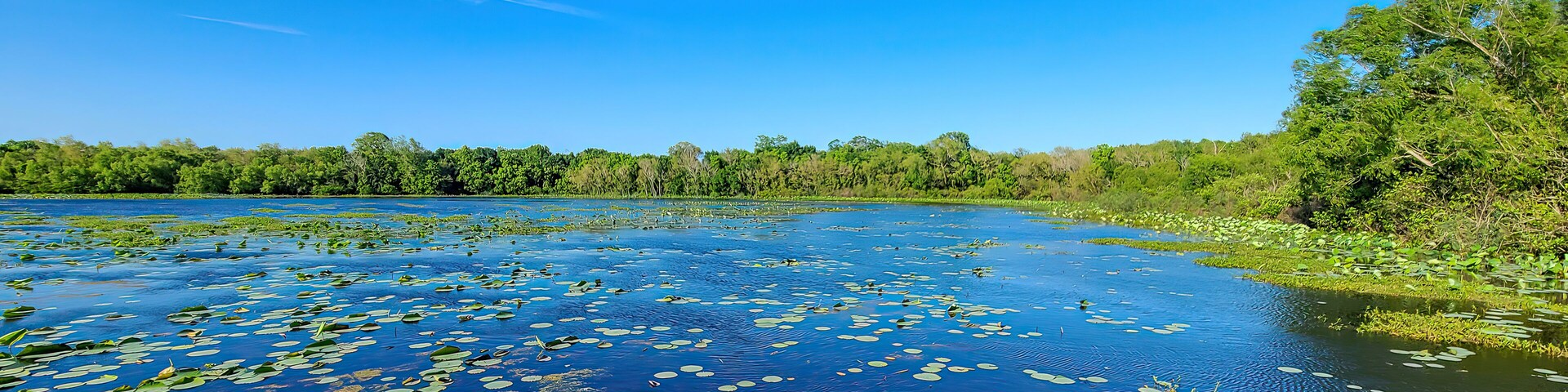 Cullinan Park in Houston Texas