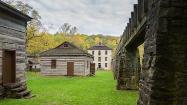 Spring Mill Cabins