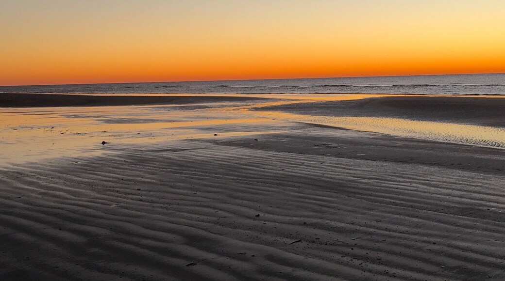 #BeachBound
Galveston Island, Texas USA Feb. 2017