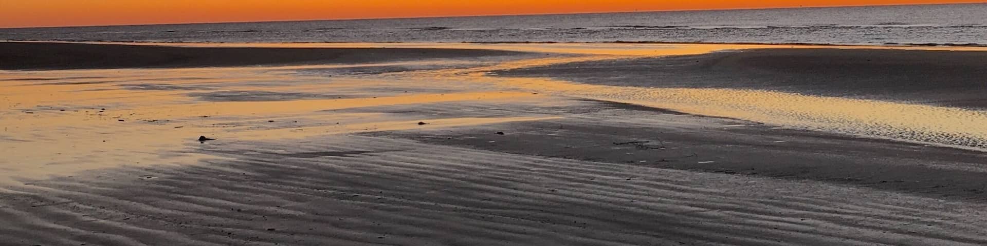 #BeachBound
Galveston Island, Texas USA Feb. 2017