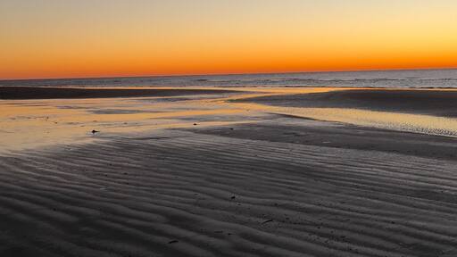 #BeachBound
Galveston Island, Texas USA Feb. 2017