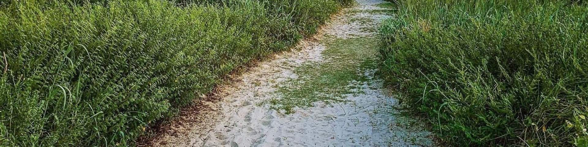 If find yourself in Galveston and you want to get away from the Seawall crowds then this is a great beach to visit. Most days you’ll find that it isn’t crowded at all, only a few people around. Follow the picturesque white boardwalk to a trail that will lead you to the beach. Be sure to stop and smell the many flowers along the way—just remember to keep off the dunes and watch out for rattlesnakes.