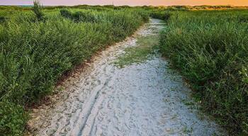 If find yourself in Galveston and you want to get away from the Seawall crowds then this is a great beach to visit. Most days you’ll find that it isn’t crowded at all, only a few people around. Follow the picturesque white boardwalk to a trail that will lead you to the beach. Be sure to stop and smell the many flowers along the way—just remember to keep off the dunes and watch out for rattlesnakes.