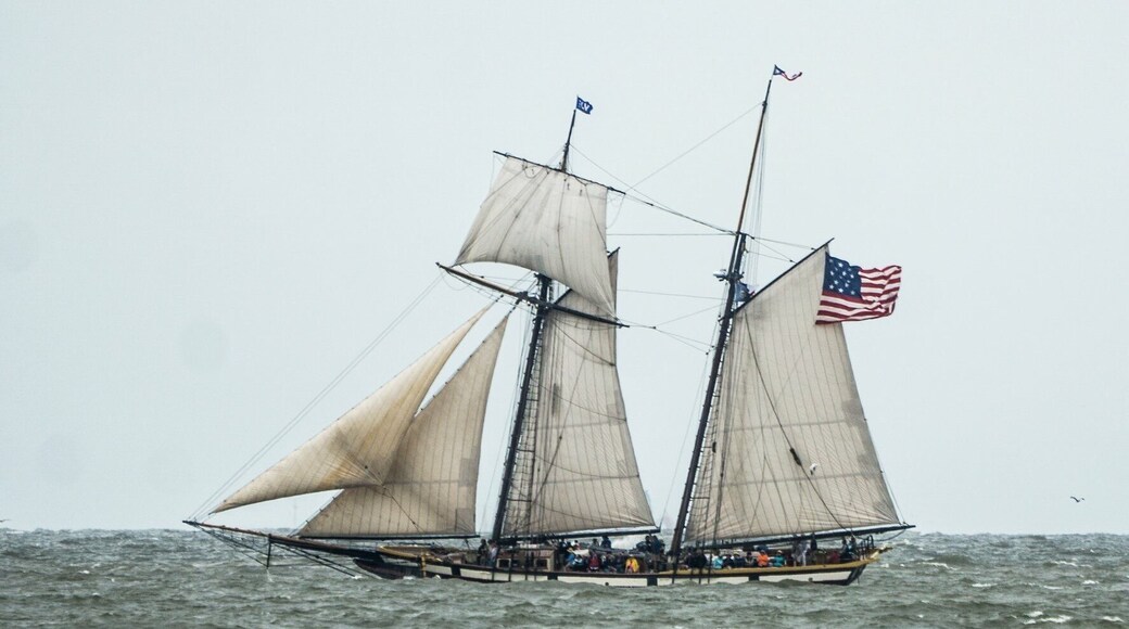 Tall Ship Festival April 5, 2018