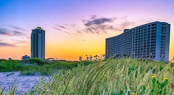 If find yourself in Galveston and you want to get away from the Seawall crowds then this is a great beach to visit. Most days you’ll find that it isn’t crowded at all, only a few people around. Follow the picturesque white boardwalk to a trail that will lead you to the beach. Be sure to stop and smell the many flowers along the way—just remember to keep off the dunes and watch out for rattlesnakes.