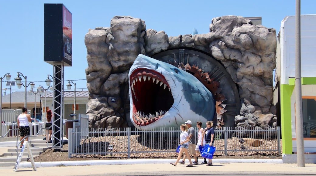 Shark Attack & The Mysterious Underworld 5D.