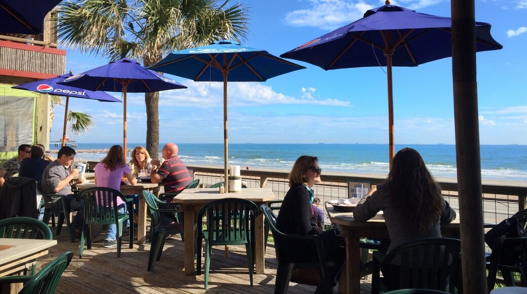 Lunch Vacation
This tranquil "spot" is 45 minutes from my office in bustling downtown Houston. When it gets too crazy... a little break along the shores of the Gulf of Mexico is a welcome treat. December and 72°, Christmas music and waves.