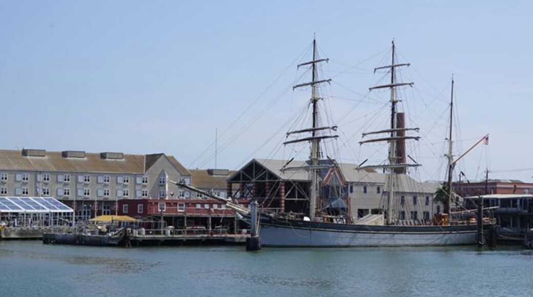 The 1877 tall ship named ELISSA, a fantastic piece of Texan history which has also been designated one of America's Treasures by the National Trust for Historic Preservation. ELISSA is a three-masted, iron-hulled sailing ship built in 1877 in Aberdeen, Scotland by Alexander Hall & Company.
