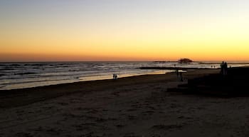Holy sunset was this view beautiful today in Galveston. 🌅
#galvestonisland #sunset #goldenhour #beautifulview