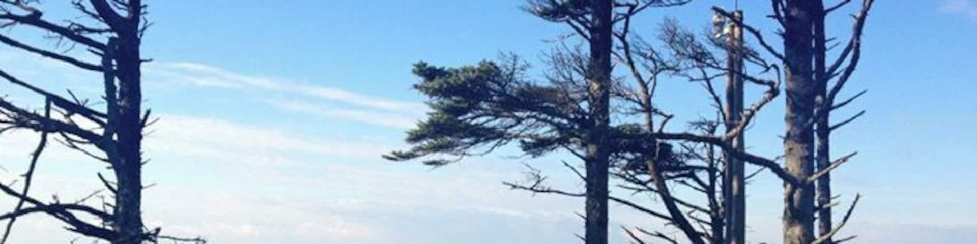 The beach view.
#beach #waterlust