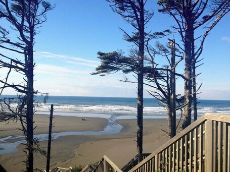 A beach with tall trees and a wooden staircase leading down to the shore.