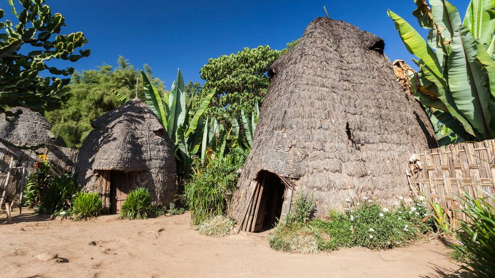 Elephant head like traditional Dorze houses. Hayzo village, Omo Valley, Ethiopia
