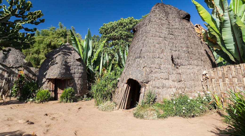 Elephant head like traditional Dorze houses. Hayzo village, Omo Valley, Ethiopia