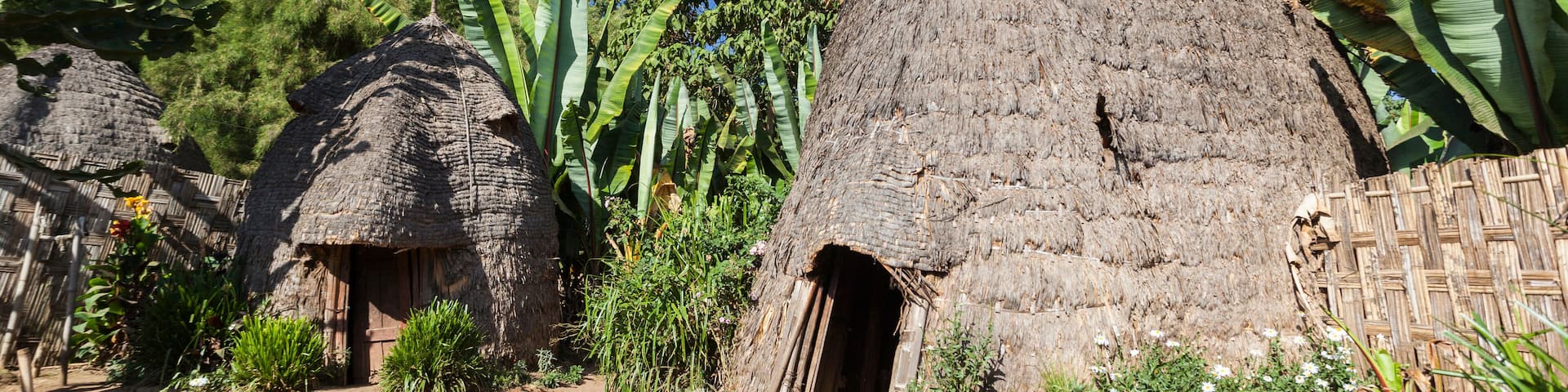 Elephant head like traditional Dorze houses. Hayzo village, Omo Valley, Ethiopia