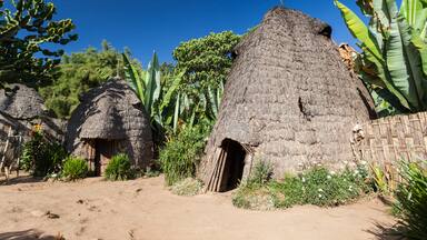 Elephant head like traditional Dorze houses. Hayzo village, Omo Valley, Ethiopia