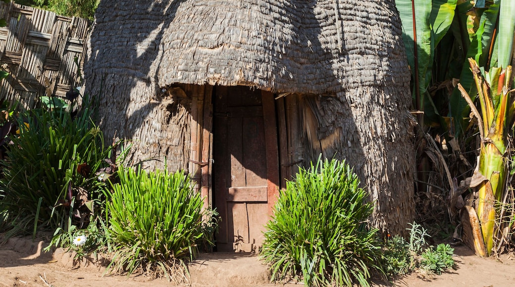 Elephant head like traditional Dorze house. Hayzo village, Omo Valley, Ethiopia